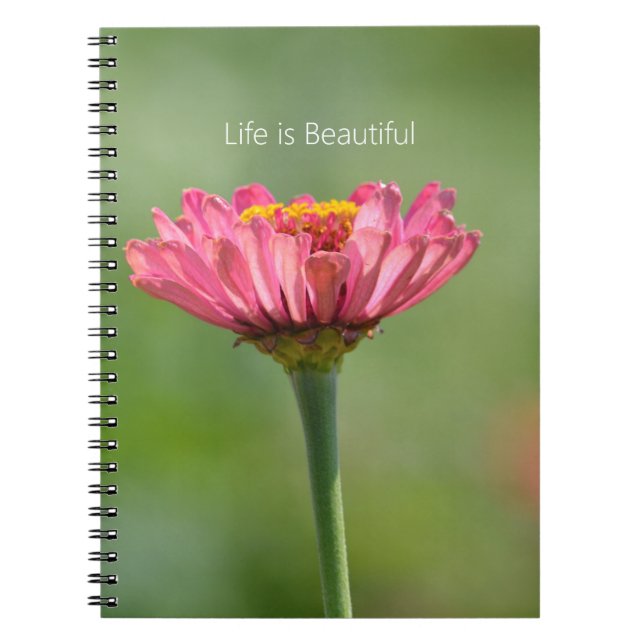 Pink Zinnia Flower (my photography) Notebook (Front)