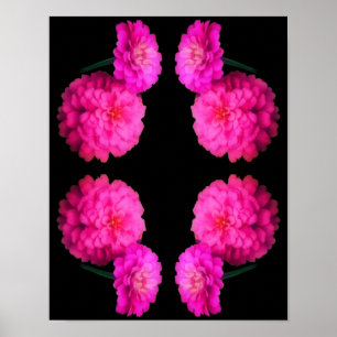 Pink Zinnia Flower Pair Abstract Art Poster