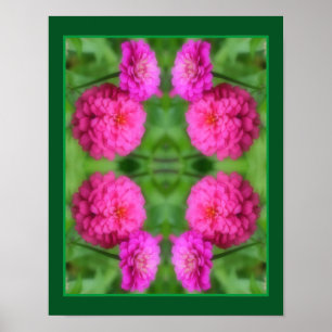 Pink Zinnia Flower Pair Close Up Abstract Poster