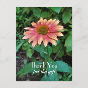 Pink Zinnia Flower Photo Thank You with Greeting Postcard