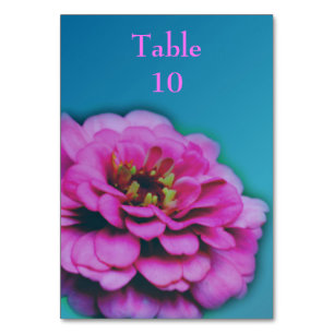Pink Zinnia Flower Wedding  Table Number