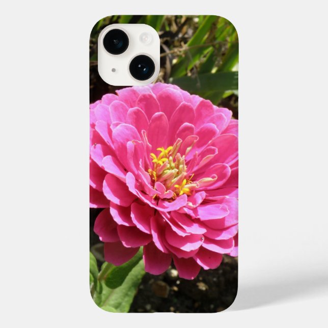 Pink Zinnia iPhone 5 Case (Back)