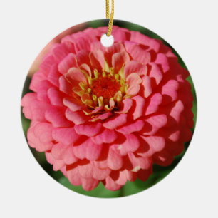 Pink Zinnia ornament
