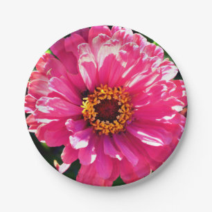 Pink Zinnia Paper Plate