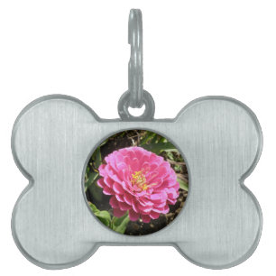 Pink Zinnia Pet Tag