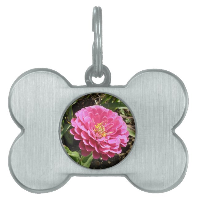Pink Zinnia Pet Tag (Front)