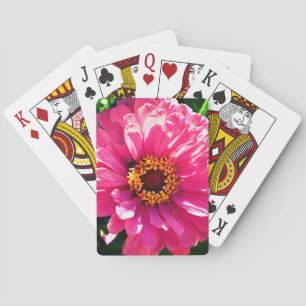 Pink Zinnia Playing Cards
