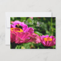 Pink zinnia with bumblebee, pink flowers, cute bee