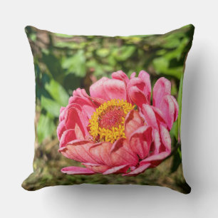 Pink Zinnia with Yellow Centre Cushion