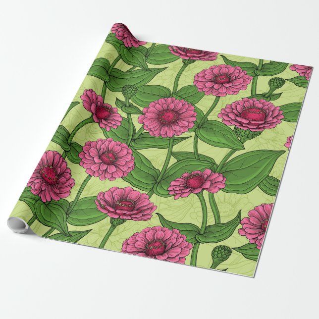 Pink Zinnias on light green Wrapping Paper (Unrolled)