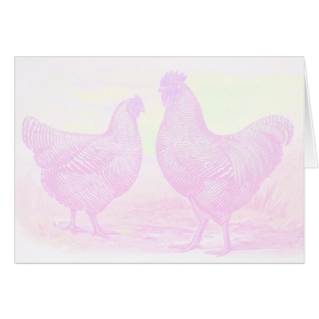 PinkFoam (Front Horizontal)