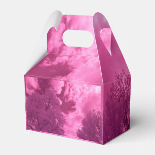Pinkish Hues Infrared Cloud Favour Box