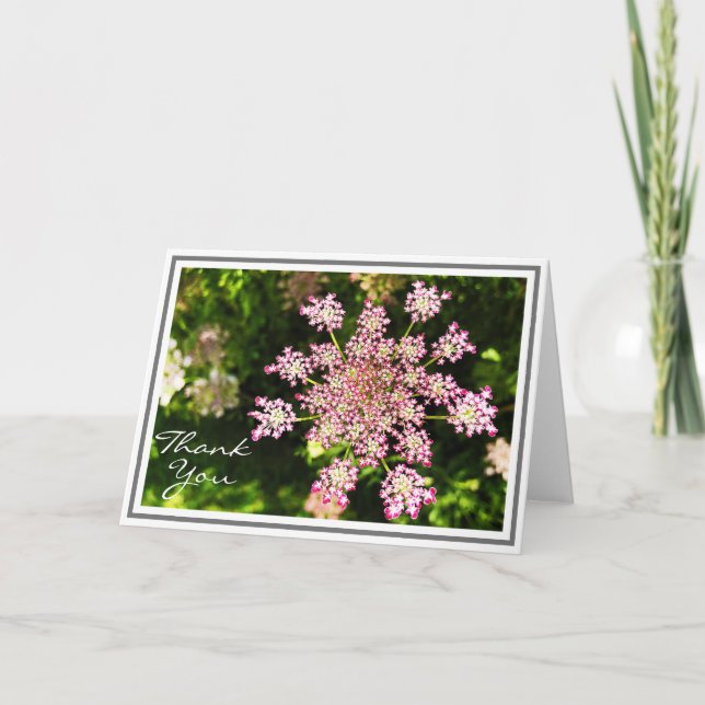 Pinkk Queen Anne’s Lace Flower With Green Foliage Card (Front)