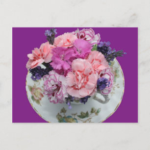 Pinks carnations in teacup postcard