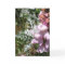 Pinks! Greeting Card