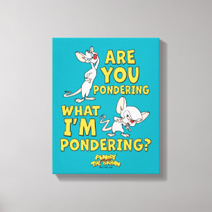 Pinky and the Brain Are You Pondering? Canvas Print