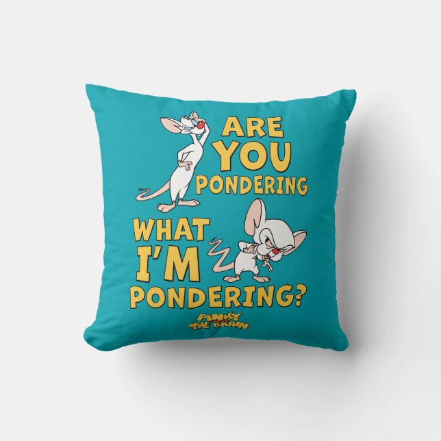 Pinky and the Brain | Are You Pondering? Cushion (Front)