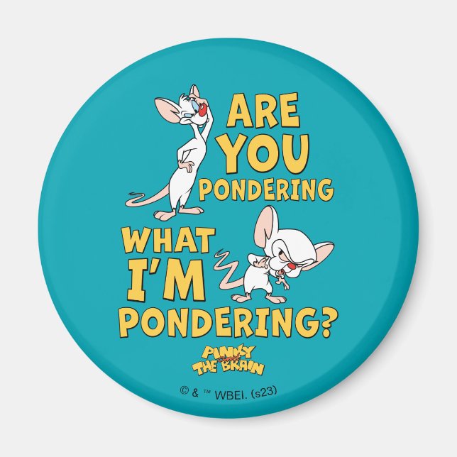Pinky and the Brain | Are You Pondering? Magnet (Front)