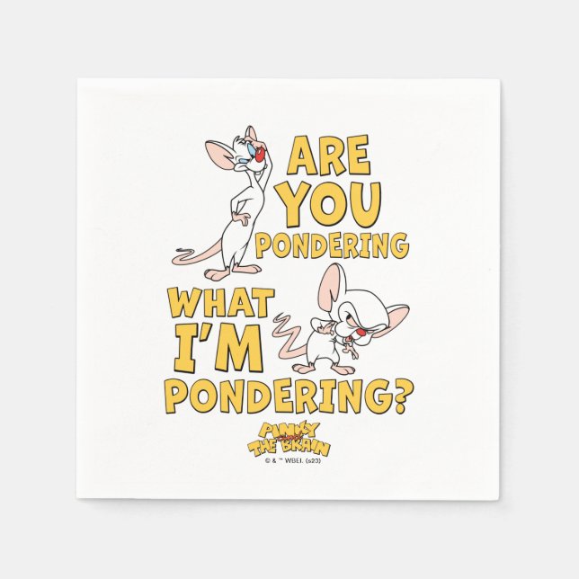 Pinky and the Brain | Are You Pondering? Napkin (Front)
