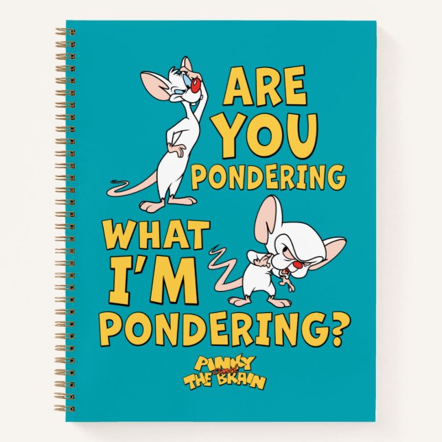 Pinky and the Brain | Are You Pondering? Notebook (Front)