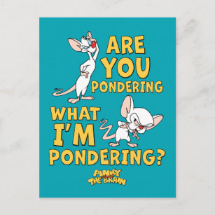 Pinky and the Brain   Are You Pondering? Postcard