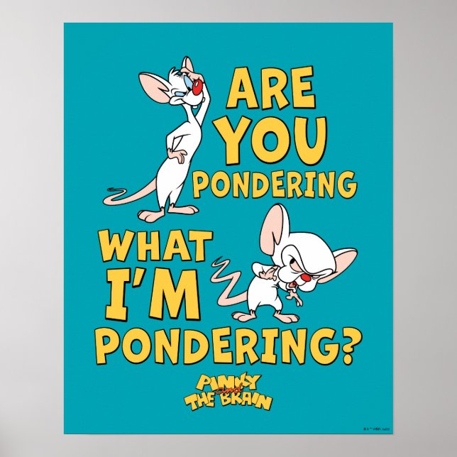 Pinky and the Brain | Are You Pondering? Poster (Front)