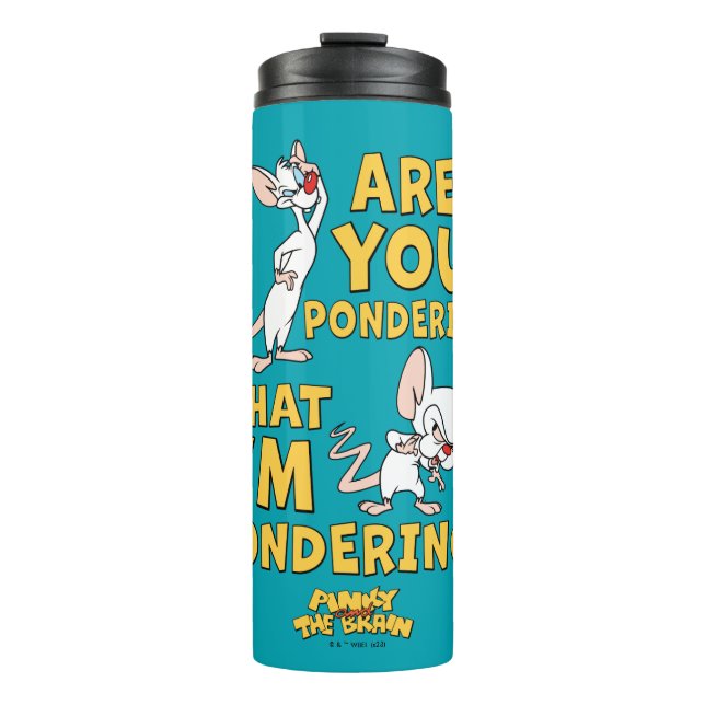 Pinky and the Brain | Are You Pondering? Thermal Tumbler (Front)