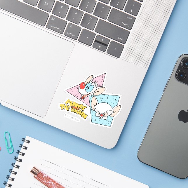 Pinky and the Brain | Retro Character Graphics (Laptop w/ iPhone)