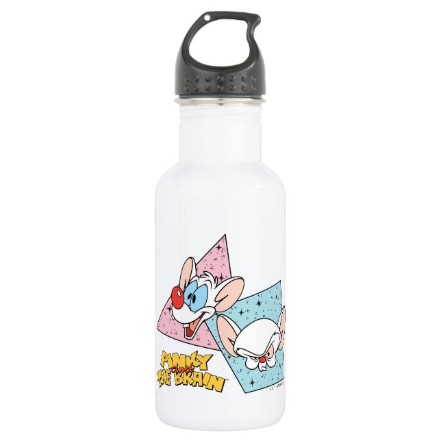 Pinky and the Brain | Retro Character Graphics 532 Ml Water Bottle (Front)