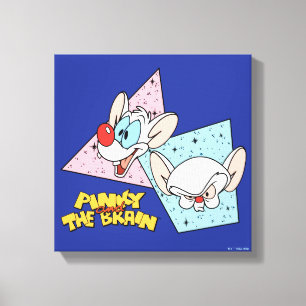 Pinky and the Brain Retro Character Graphics Canvas Print