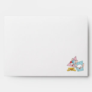 Pinky and the Brain Retro Character Graphics Envelope
