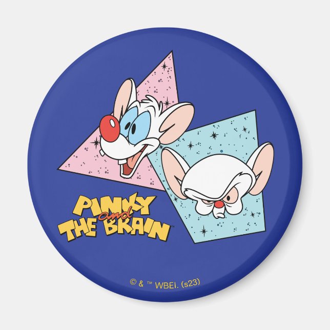 Pinky and the Brain | Retro Character Graphics Magnet (Front)