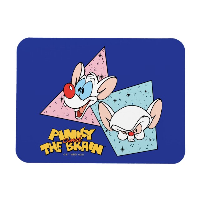Pinky and the Brain | Retro Character Graphics Magnet (Horizontal)