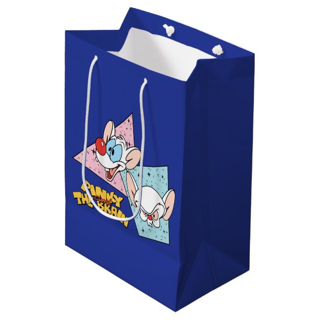 Pinky and the Brain | Retro Character Graphics Medium Gift Bag (Front Angled)