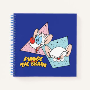 Pinky and the Brain   Retro Character Graphics Notebook