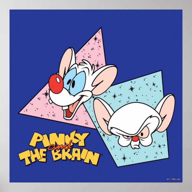 Pinky and the Brain | Retro Character Graphics Poster (Front)