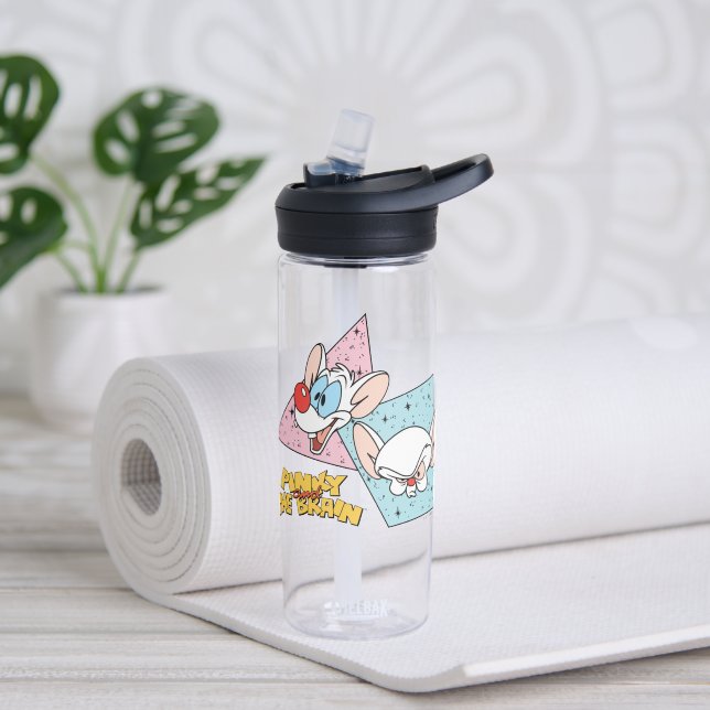 Pinky and the Brain | Retro Character Graphics Water Bottle (Yoga)