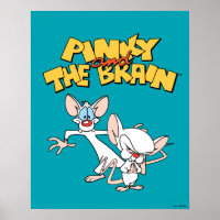 Pinky and the Brain | Show Logo