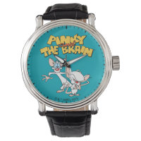 Pinky and the Brain | Show Logo