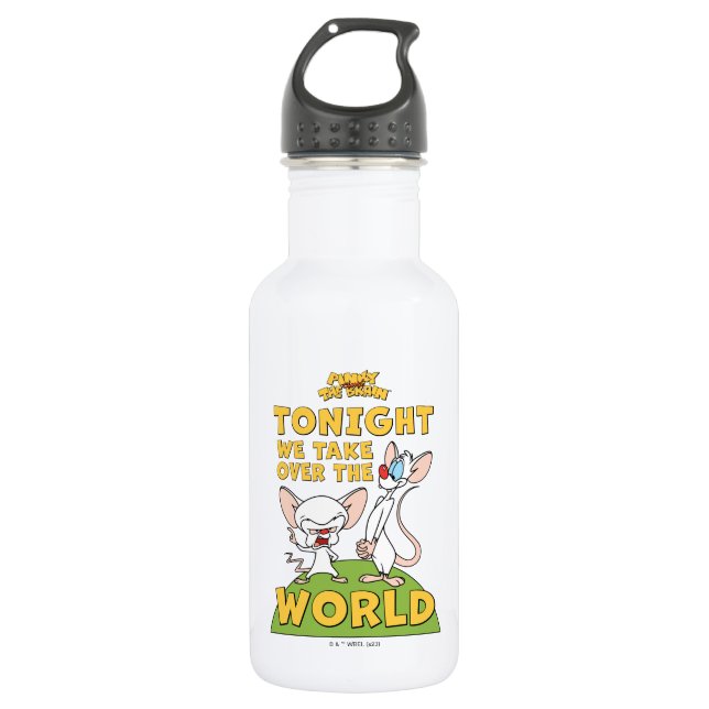Pinky and the Brain | Take Over The World 532 Ml Water Bottle (Front)