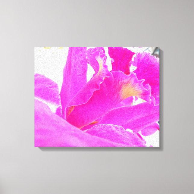 Pinky Canvas Print (Front)