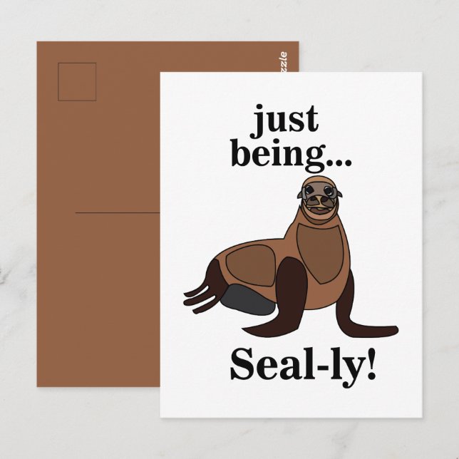 Pinnipeds Seal Funny Postcard (Front/Back)