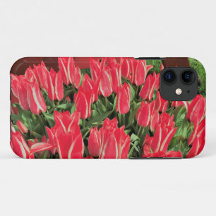 Pinocchio Tulips iPhone 11 Case