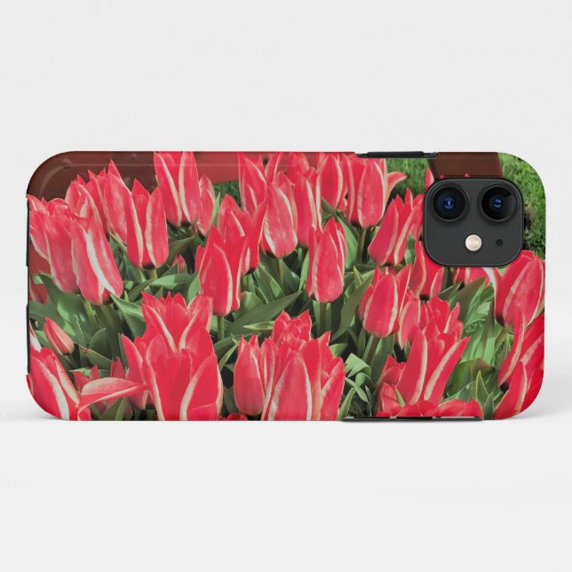 Pinocchio Tulips Case-Mate iPhone Case (Back (Horizontal))