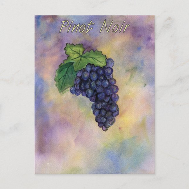 Pinot Noir Wine Grapes Art Postcard (Front)