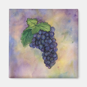 Pinot Noir Wine Grapes Magnet