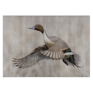 Pintail Drake Taking Flight Cutting Board