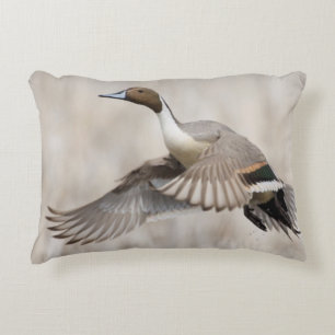Pintail Drake Taking Flight Decorative Cushion