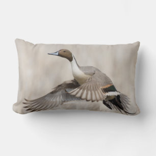 Pintail Drake Taking Flight Lumbar Cushion