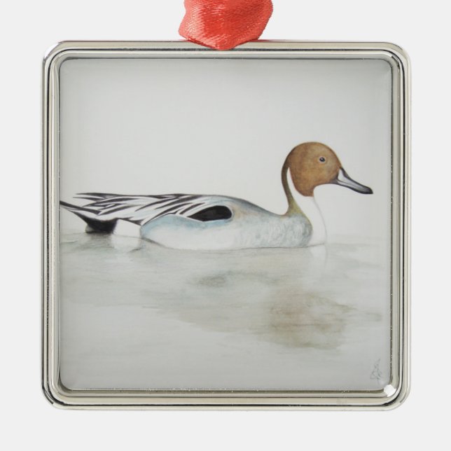 Pintail Duck 2011 Metal Tree Decoration (Front)
